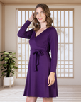 Chic V-Neck Long Sleeve Belted Dress