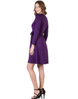 Chic V-Neck Long Sleeve Belted Dress