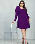 Long Sleeve Knee Length Plus Size Skater Dress